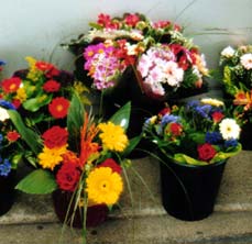 blumen